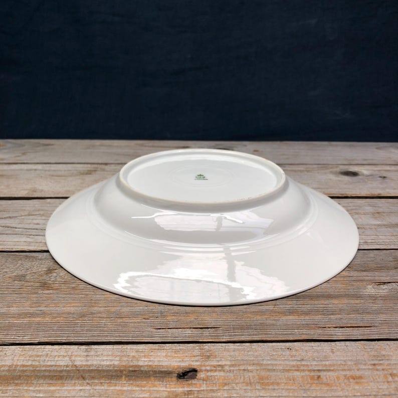 Soup/pasta Plate cockroach, 24 Cm, Porcelain With Gold Rim and Hand