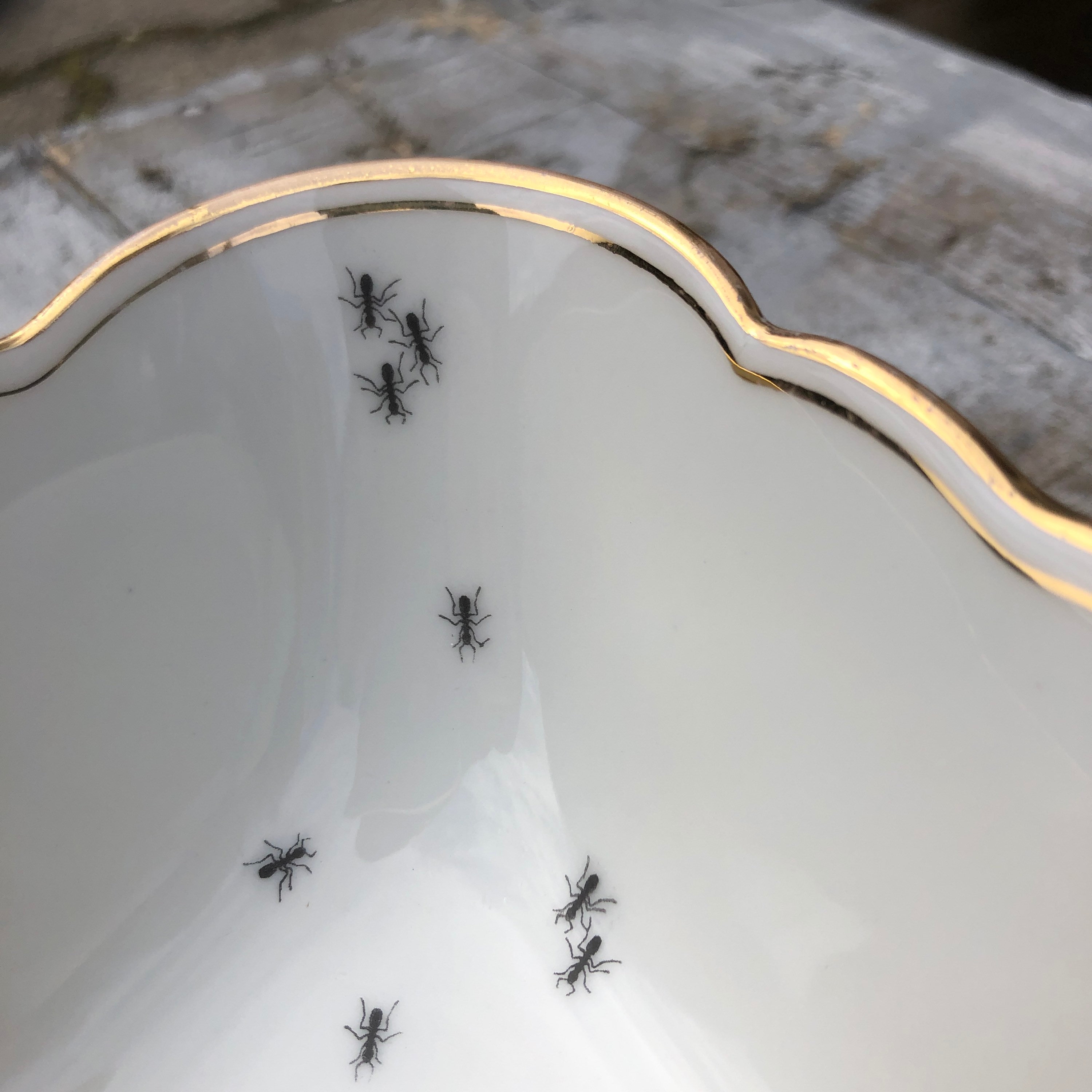 Bol en Porcelaine Fourmis avec Bord d'or, Ø Environ 19 cm, Cadeau Pour La Maison, Famille et Les Ami