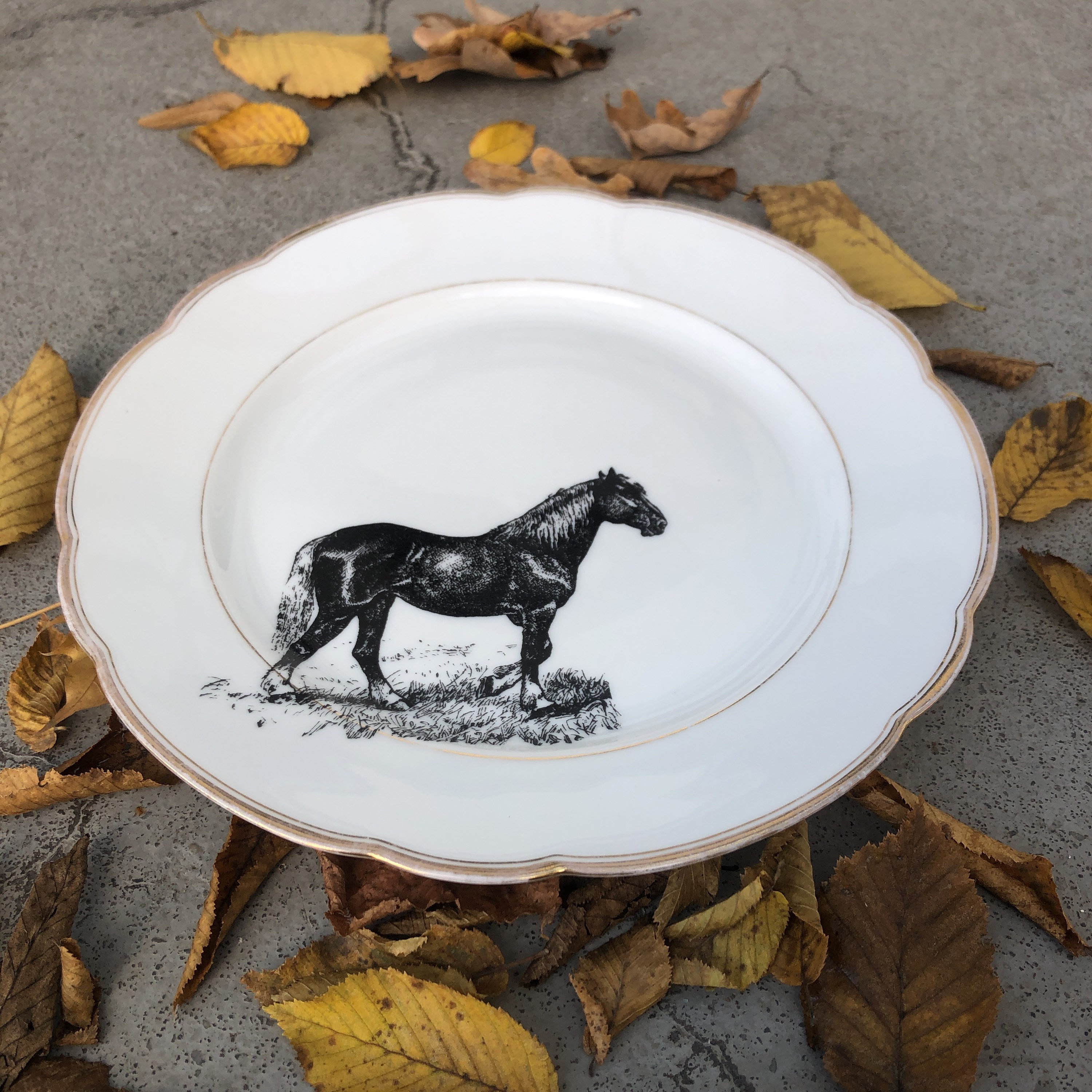 PLAT OVALE En Porcelaine De Haviland Limoges France Decor Torsade EUR