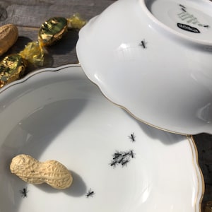 minibowl &quot;ants&quot;, ø aprox. 13cm, handmade silkscreen prints on vintage porcelain with goldrim; gift for balcony, garden, family and friends