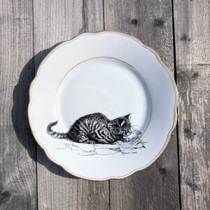 Porseleinen bord "Kat", ca. 20 cm in diameter, handbedrukt; voor op de eettafel of als wanddecoratie, een leuk cadeau voor vrienden, familie en huisdieren.