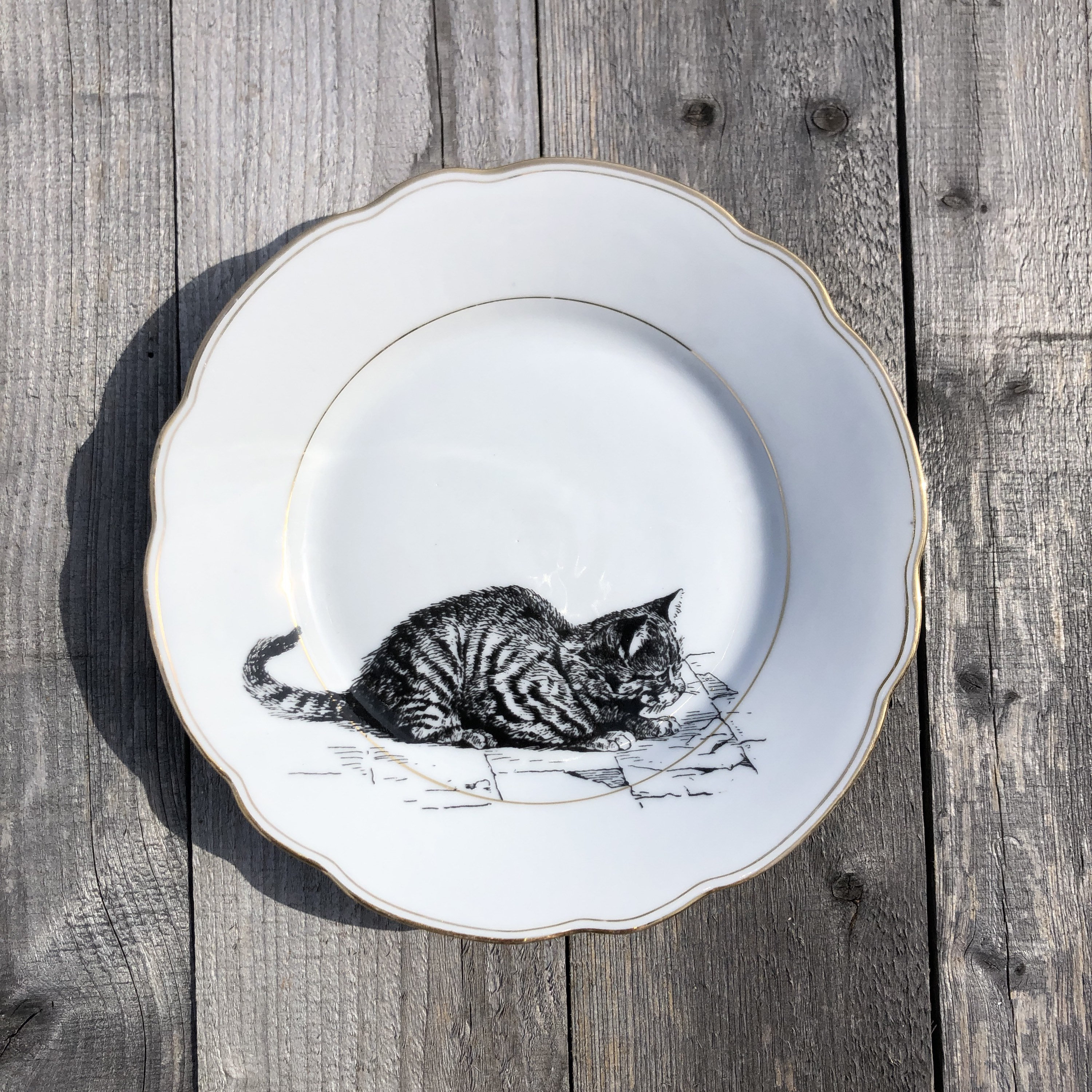 Cat top dinnerware sets