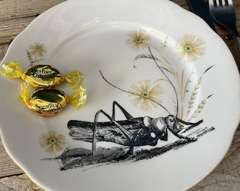 Frühlingsteller “Grashüpfer", handbedrucktes Vintageporzellan mit Blumen-Dekor, ø 19cm;