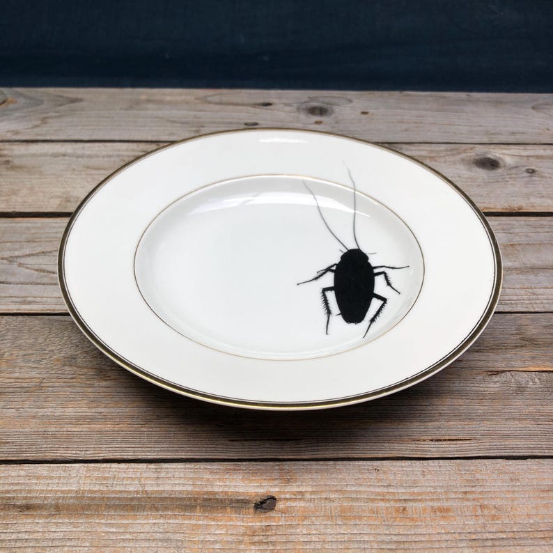Soup/pasta Plate cockroach, 24 Cm, Porcelain With Gold Rim and Hand