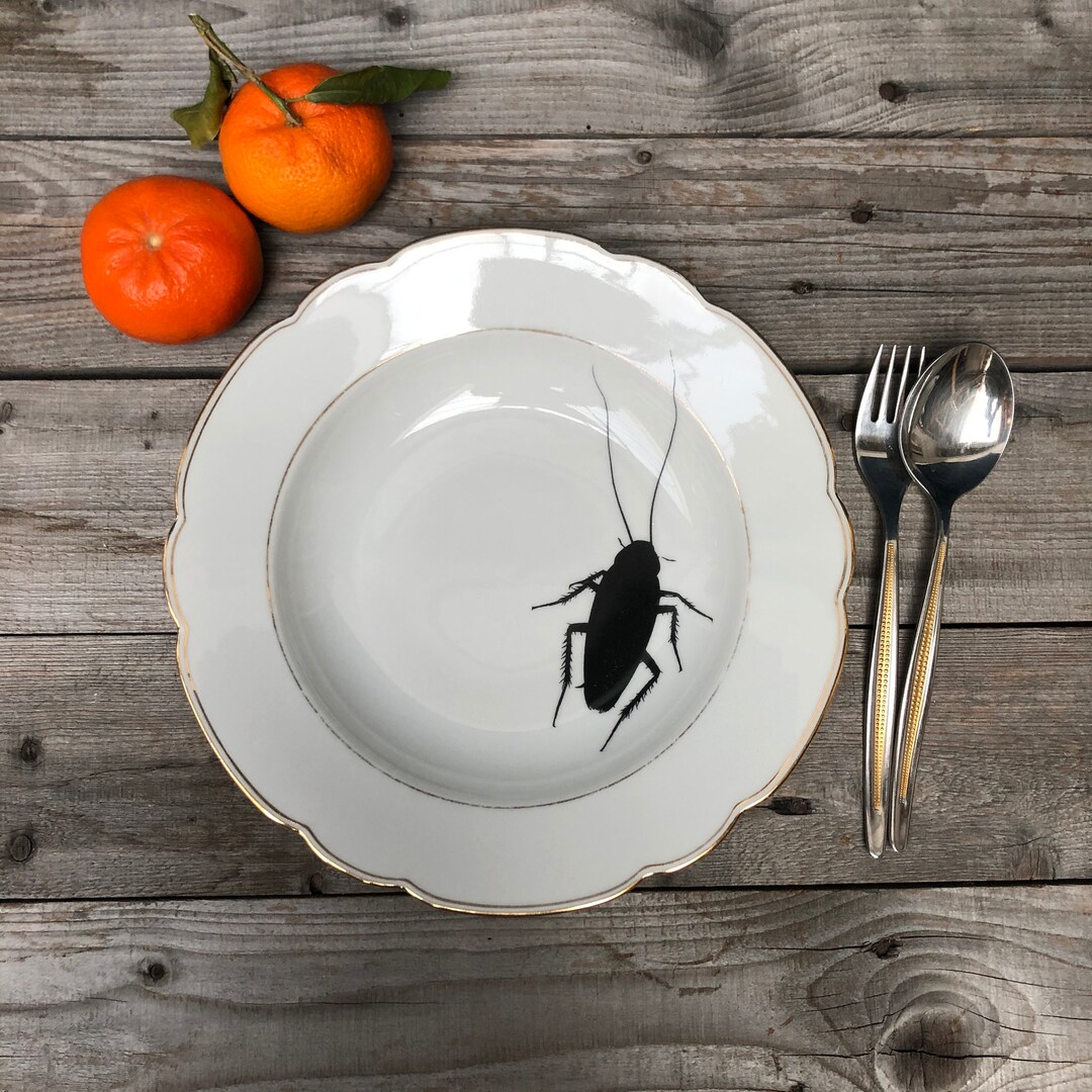 Cockroach Soup/pasta Plate, 24 Cm, Gold Rim and Hand-printed Screen ...