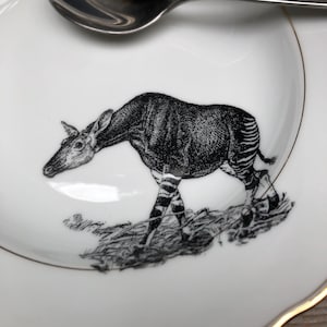 May include: A white ceramic plate with a black and white illustration of an okapi, a type of African mammal, standing in a grassy area.