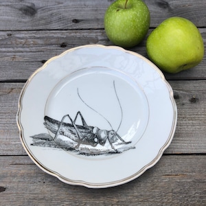 Grashüpfer-Teller, handbedrucktes Vintageporzellan mit Goldrand, ø ca. 19cm; Ostern, Frühling, Sommer, Garten, Laube, Balkon, Terrasse