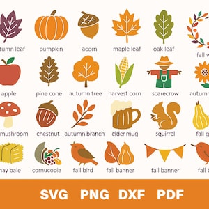 Puede incluir: Ilustraciones con temática otoñal, incluyendo una calabaza, una bellota, una hoja de arce y una corona de otoño. Otras imágenes incluyen un espantapájaros, una ardilla y calabazas de otoño. El texto "SVG PNG DXF PDF" también está presente.
