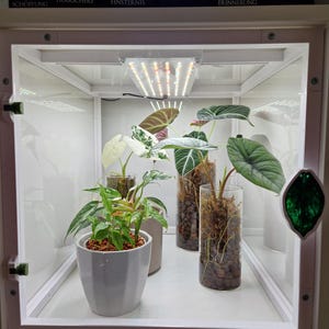 Växthus för IKEA Kallax