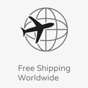 May include: A black airplane silhouette flies over a gray globe graphic. The words "Free Shipping Worldwide" are displayed in a simple, sans-serif font below the graphic, all on a light gray background.