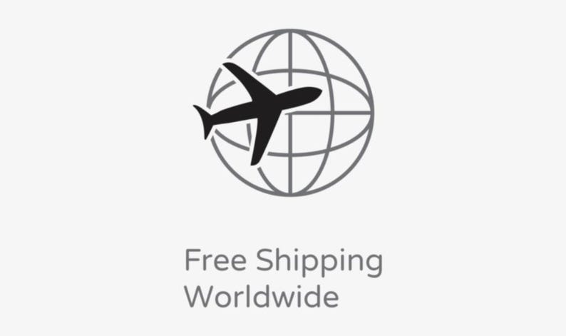 May include: A black airplane silhouette flies over a gray globe graphic. The words "Free Shipping Worldwide" are displayed in a simple, sans-serif font below the graphic, all on a light gray background.