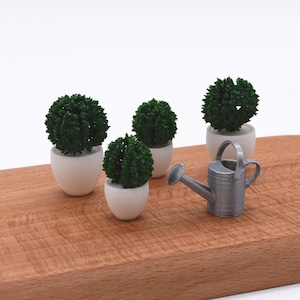 May include: Miniature garden scene featuring four small potted plants with green foliage in white pots, and a silver watering can. The items are arranged on a wooden surface, creating a charming, decorative display.