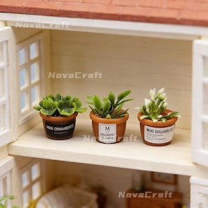 May include: Miniature dollhouse plants in terracotta pots. One pot has a label that says "Mini Ornaments", another says "Dollhouse Flower", and the third says "Mini Dollhouse". The plants have green leaves and white flowers.