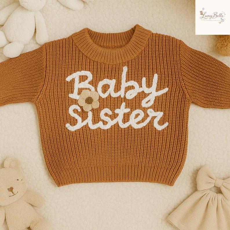 May include: A rust-colored baby sweater with the words "Baby Sister" embroidered in white script. A small flower applique is placed between the words. The sweater has a ribbed knit texture and a round neckline. The sweater is surrounded by baby toys.