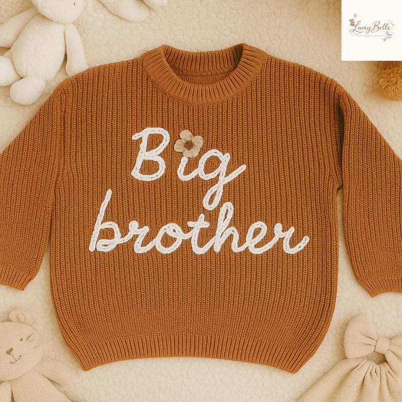 May include: A rust-colored knit sweater with the words "Big brother" embroidered in white script. A small flower is embroidered above the letter "g". The sweater has a ribbed texture and a crew neck.