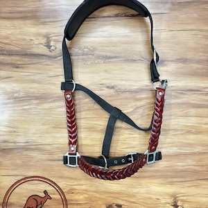 Braided Leather Horse Halter: Padded Crown, Adjustable Equestrian Tack