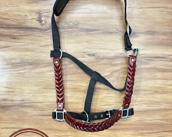 May include: A black and burgundy leather horse halter with a braided design. The halter features a padded black crown piece and black nylon straps. The image includes a logo with a kangaroo and the text "Aussie Craft Leather".