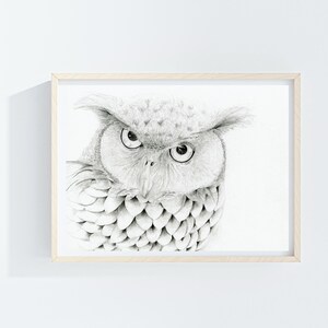 Owl fine art Giclee print of my original owl pencil drawing. For bird lovers, a unique gift, black and white minimalist wall art home decor