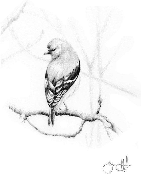 Premium Photo | White pencil drawing beautiful bird in the tree brunch ai  image