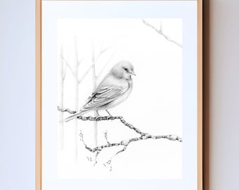 A bird nature inspired wall art print gifts Giclee inspired by nature bird finch Minimalist black & white woodland nature lovers home decor.