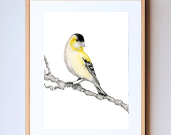 A bird nature inspired wall art print gifts Giclee inspired by nature bird finch Minimalist black & white woodland nature lovers home decor.