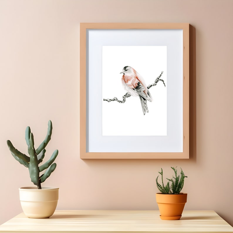 Red finch bird fine art Giclee print. A gift for nature lovers, woodland inspired bird wall art pencil drawing Original wall hanging decor 5x7 Giclee