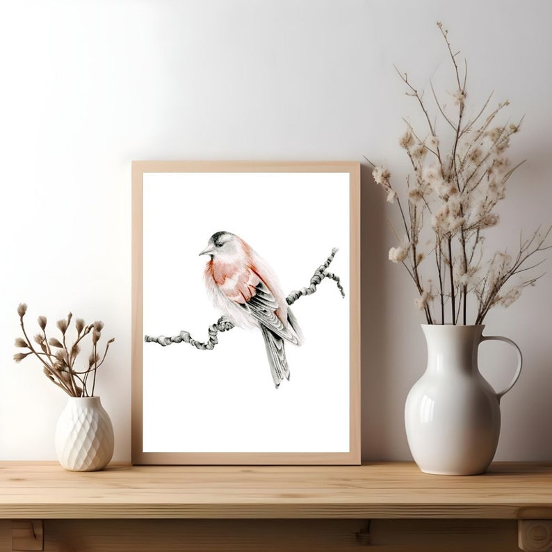 Red finch bird fine art Giclee print. A gift for nature lovers, woodland inspired bird wall art pencil drawing Original wall hanging decor 5x7 Poster