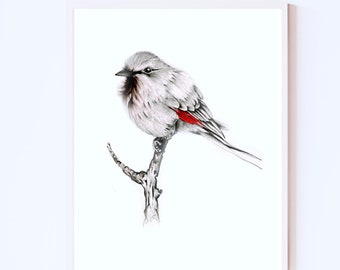 A bird nature inspired wall art print gifts Giclee inspired by nature bird finch Minimalist black & white woodland nature lovers home decor.