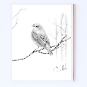 Bird, nature inspired wall art Giclee print inspired by nature finch birds.  Minimalist, black and white woodland nature lovers home decor.