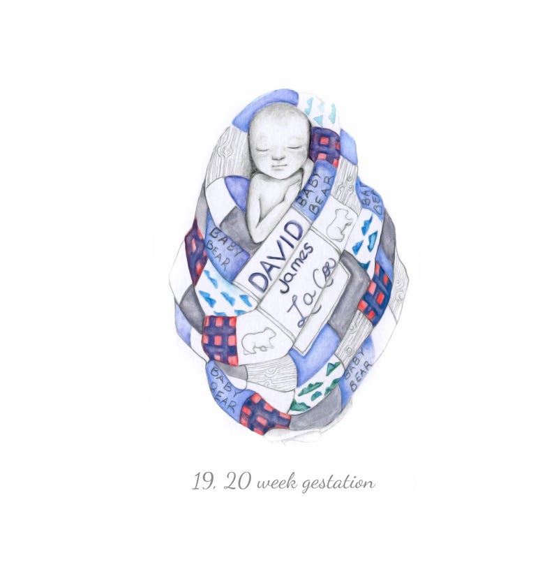 May include: Watercolor illustration of a newborn baby wrapped in a patchwork quilt. The quilt features blue, red, and gray squares with bear and text details. The baby's name, "David James La Co", is written on a label. The text "19. 20 week gestation" is at the bottom.