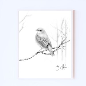 Bird, nature inspired wall art Giclee print inspired by nature finch birds.  Minimalist, black and white woodland nature lovers home decor.