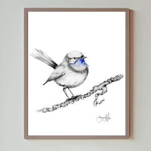 Black & white little blue bird on a branch Print from original pencil drawing Minimalist finch, beautiful bird wall art home decor Giclee