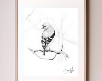 A bird nature inspired wall art print gifts Giclee inspired by nature bird finch Minimalist black & white woodland nature lovers home decor.