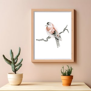 Red finch bird fine art Giclee print. A gift for nature lovers, woodland inspired bird wall art pencil drawing Original wall hanging decor 8x10 Poster