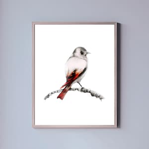 Red Finch Pencil Drawing: Minimalist Bird Art Print