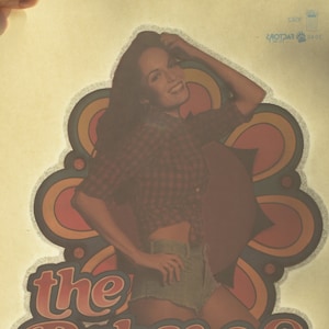 May include: Vintage Dukes of Hazzard poster featuring a woman in a red plaid shirt and denim shorts. The poster has a retro design with the show's title in a stylized font. The Warner Bros. copyright is visible.