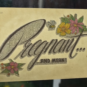 May include: A tan card with the words "Pregnant... ...AND MEAN!" in a script font. The card has illustrations of flowers and a bee. The text is in a dark brown color with a glittery texture.