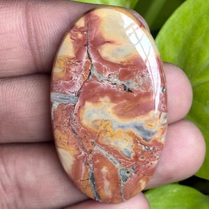 Op de afbeelding: Een ovale, gepolijste edelsteen. De steen heeft een mix van rode, beige en grijze tinten, met gedetailleerde patronen en natuurlijke scheuren. De edelsteen wordt in een hand gehouden, met groene bladeren op de achtergrond.