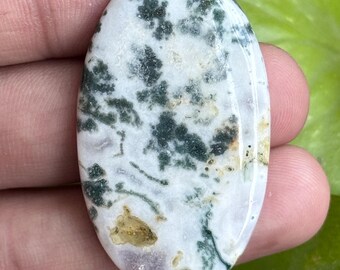 以下が含まれることがあります： 白を基調とし、濃い緑と茶色のインクルージョンが複雑な模様を織りなす、楕円形の宝石。 研磨された表面は光を反射し、色と質感の自然なバリエーションを際立たせています。 緑の葉を背景に、手で石を持っています。