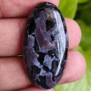 May include: An oval-shaped gemstone with a polished surface. The stone features a mix of black, dark purple, and light blue colors in a mottled pattern. The gemstone is held in a hand against a blurred green background.