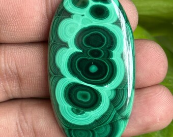 Puede incluir: Gema de malaquita ovalada con patrones concéntricos de verde oscuro y claro. La piedra pulida muestra una superficie brillante y se sostiene en una mano, mostrando su belleza natural. La gema mide aproximadamente 5 cm de largo.