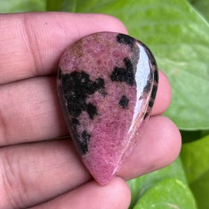 K&ouml;nnte beinhalten: Ein polierter, tropfenf&ouml;rmiger Edelstein mit rosa Basis und schwarzen Einschl&uuml;ssen. Der Stein hat eine gl&auml;nzende Oberfl&auml;che und wird vor einem Hintergrund aus gr&uuml;nem Laub gehalten. Die rosa Farbe variiert in der Intensit&auml;t und erzeugt ein ansprechendes Muster.