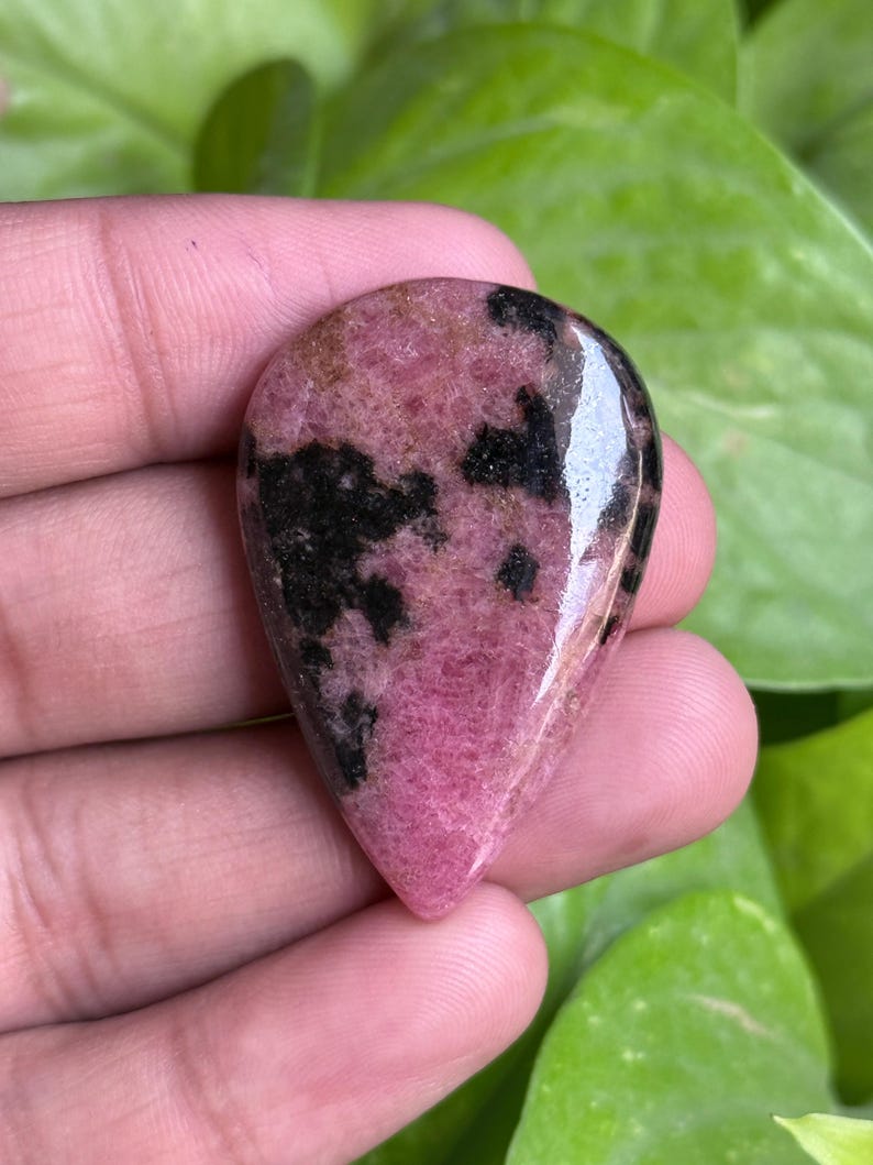 K&ouml;nnte beinhalten: Ein polierter, tropfenf&ouml;rmiger Edelstein mit rosa Basis und schwarzen Einschl&uuml;ssen. Der Stein hat eine gl&auml;nzende Oberfl&auml;che und wird vor einem Hintergrund aus gr&uuml;nem Laub gehalten. Die rosa Farbe variiert in der Intensit&auml;t und erzeugt ein ansprechendes Muster.