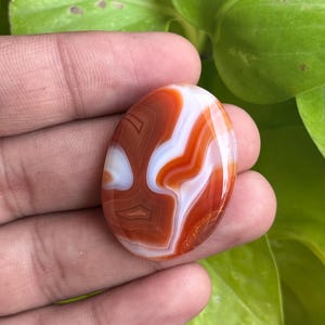 May include: Oval-shaped agate gemstone with a polished surface. The stone features a pattern of swirling bands in shades of orange, brown, and white. The gemstone is set against a backdrop of green foliage.