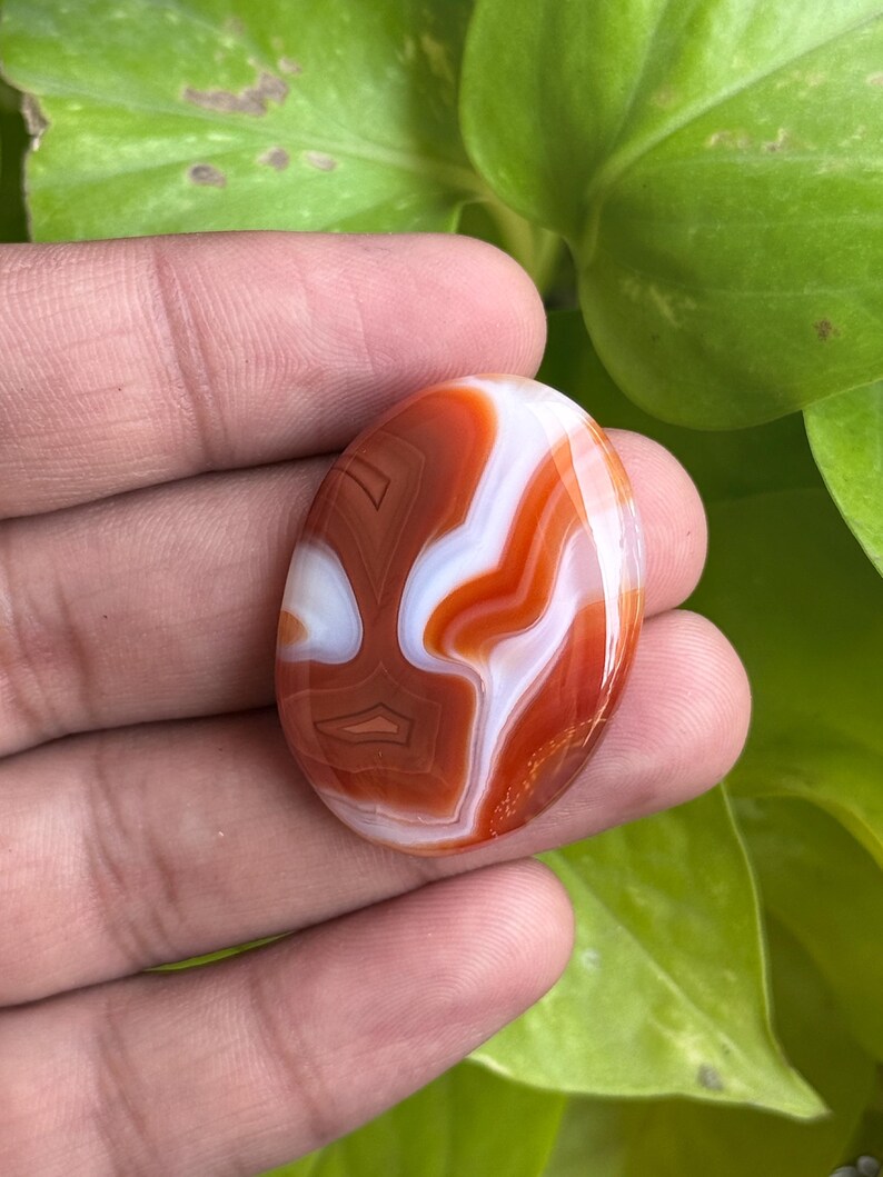 May include: Oval-shaped agate gemstone with a polished surface. The stone features a pattern of swirling bands in shades of orange, brown, and white. The gemstone is set against a backdrop of green foliage.