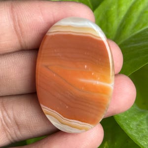 May include: An oval-shaped gemstone with a polished surface. The stone features bands of orange, white, and cream colors. The gemstone is held in a hand, with green foliage in the background. This stone could be used for jewelry or other crafts.