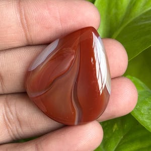 May include: A polished, teardrop-shaped gemstone with a rich, reddish-brown hue, accented by creamy white and lighter brown bands. The stone is held in a hand, with a backdrop of green leaves.