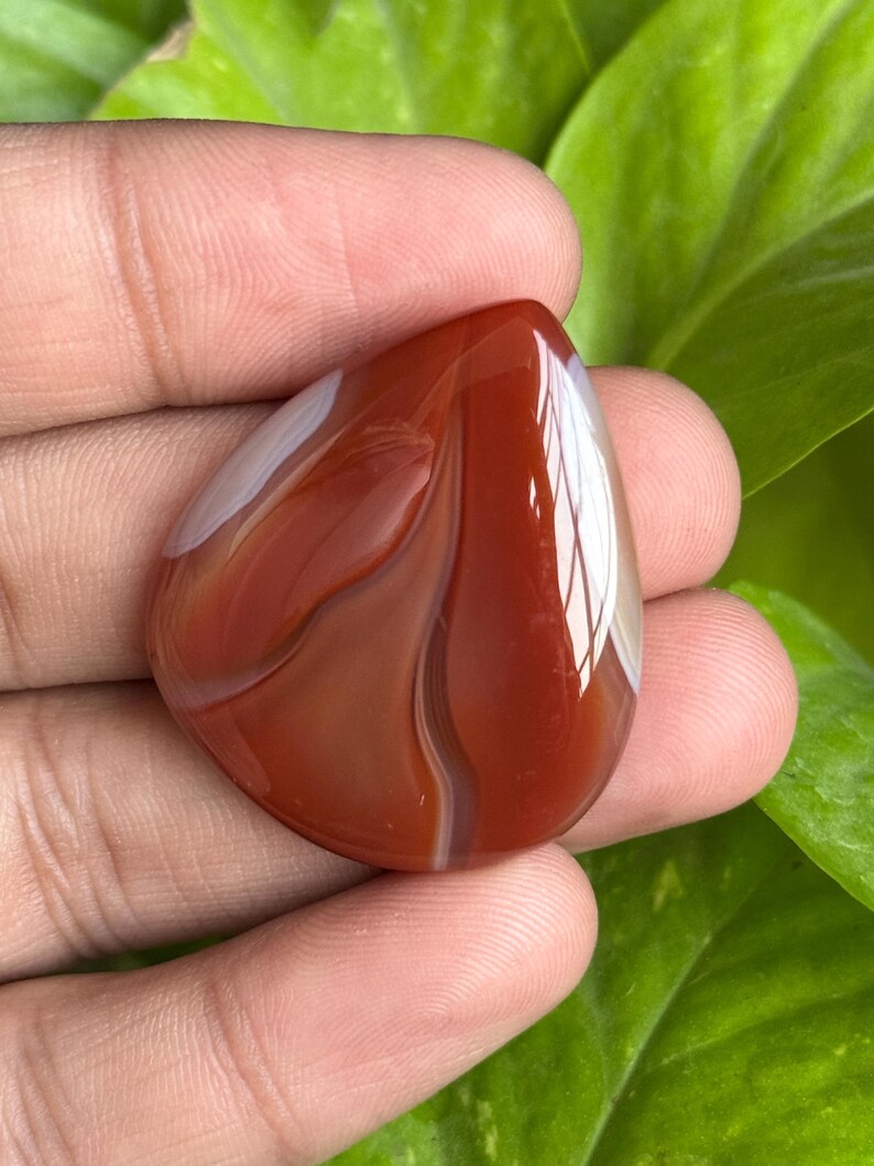 May include: A polished, teardrop-shaped gemstone with a rich, reddish-brown hue, accented by creamy white and lighter brown bands. The stone is held in a hand, with a backdrop of green leaves.