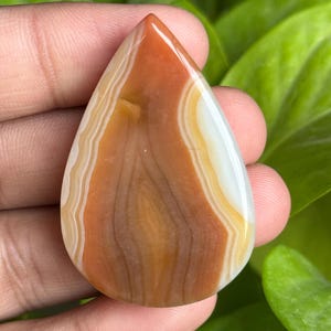 May include: A teardrop-shaped gemstone with a polished surface. The stone features bands of orange, brown, and white, creating a layered effect. The gemstone is held in a hand, with green foliage in the background.