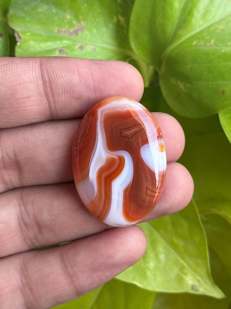 May include: An oval-shaped polished cabochon gemstone featuring distinct bands of deep burnt orange and translucent white. The stone has a smooth, glossy surface with swirling, organic patterns that create a layered appearance throughout.